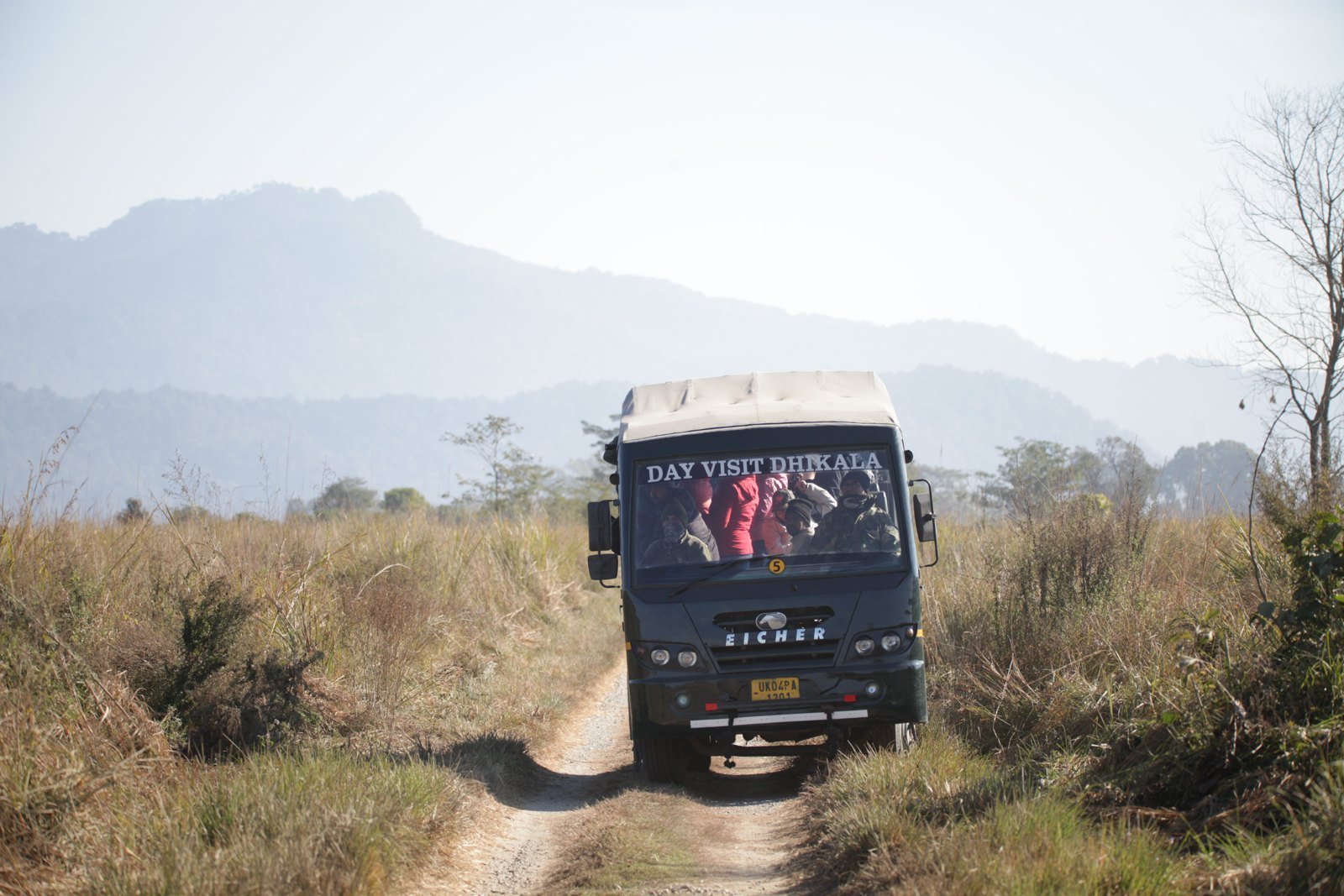 Dhikala Zone shared Canter Safari